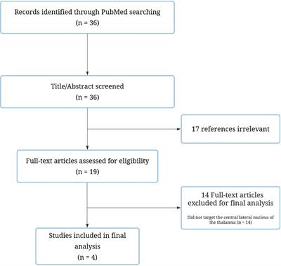 Neuroablative central lateral thalamotomy for chronic neuropathic pain